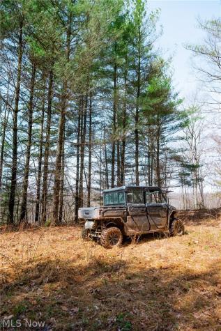East Branch Road Lowell OH 45744
