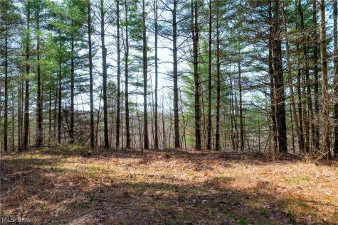 East Branch Road Lowell OH 45744