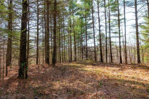 East Branch Road Lowell OH 45744