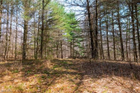 East Branch Road Lowell OH 45744