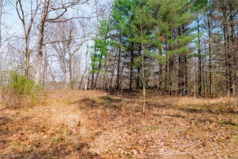 East Branch Road Lowell OH 45744