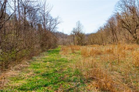 East Branch Road Lowell OH 45744
