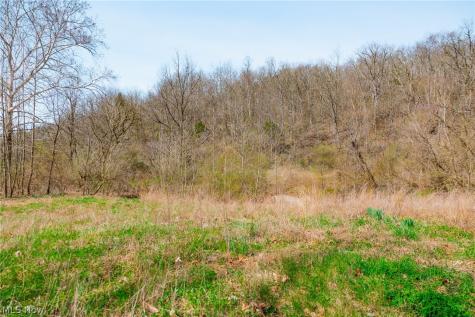 East Branch Road Lowell OH 45744