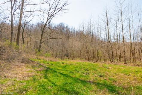East Branch Road Lowell OH 45744