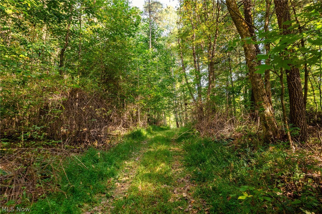 10772 Lawndell Road SW Navarre OH 44662