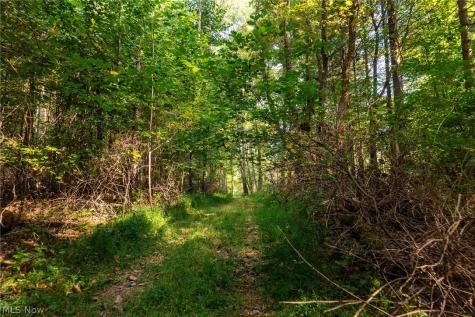 10772 Lawndell Road SW Navarre OH 44662