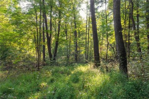 10772 Lawndell Road SW Navarre OH 44662