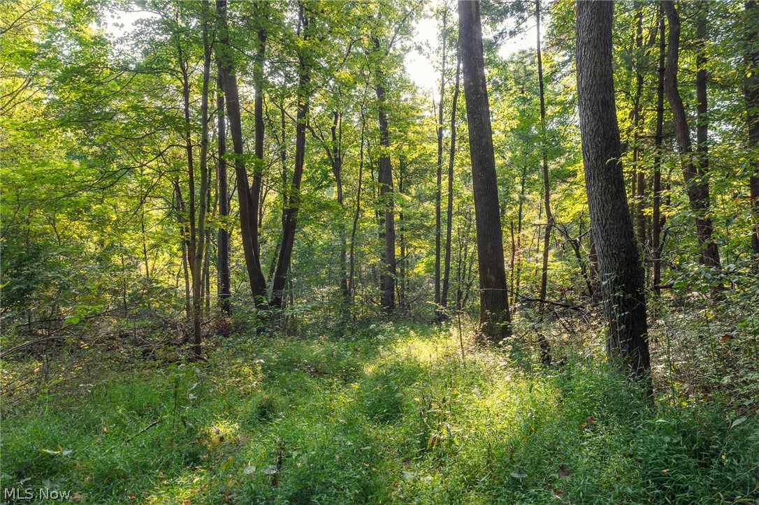 10772 Lawndell Road SW Navarre OH 44662
