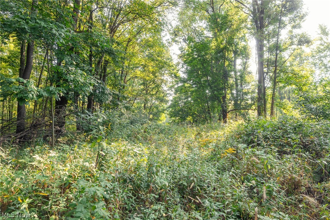 10772 Lawndell Road SW Navarre OH 44662
