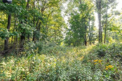 10772 Lawndell Road SW Navarre OH 44662