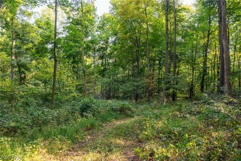 10772 Lawndell Road SW Navarre OH 44662