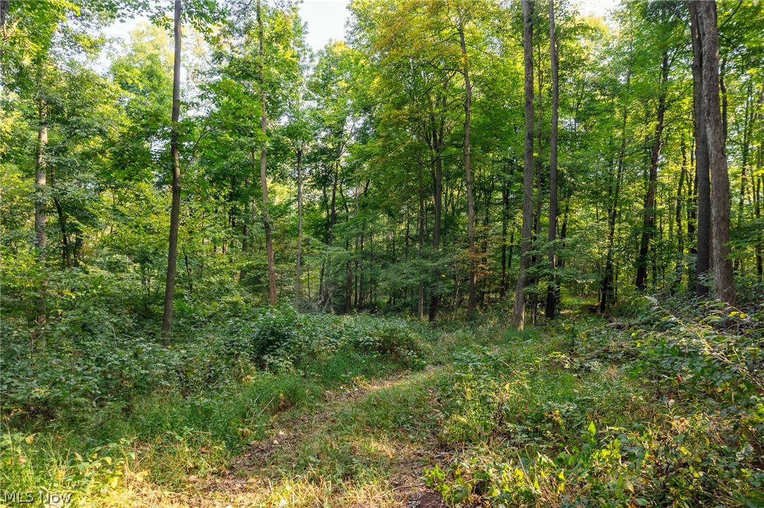 10772 Lawndell Road SW Navarre OH 44662