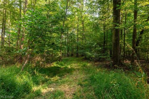 10772 Lawndell Road SW Navarre OH 44662