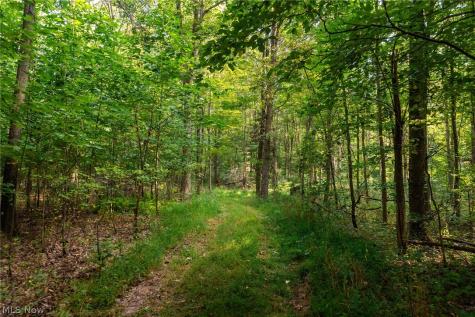 10772 Lawndell Road SW Navarre OH 44662
