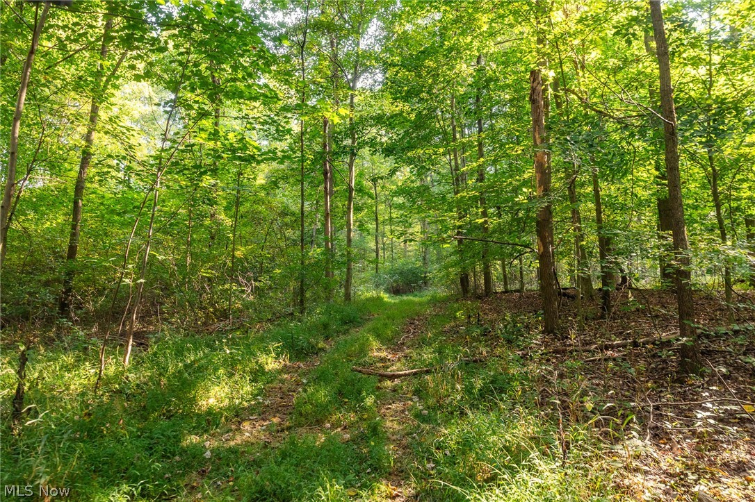 10772 Lawndell Road SW Navarre OH 44662