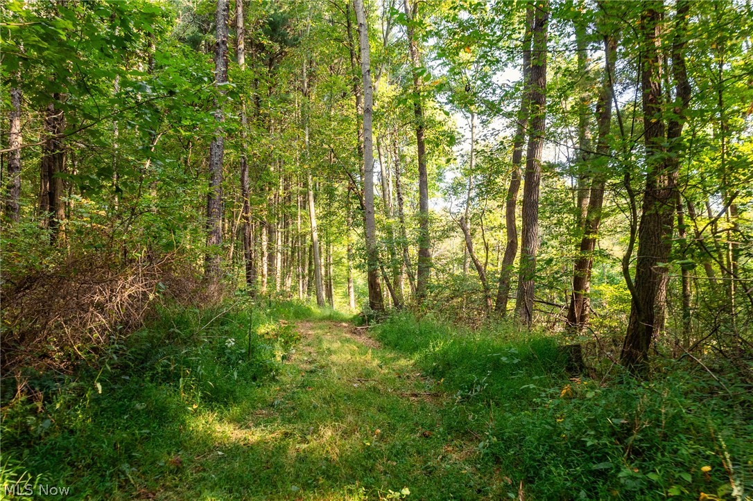 10772 Lawndell Road SW Navarre OH 44662