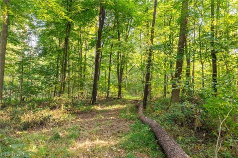 10772 Lawndell Road SW Navarre OH 44662