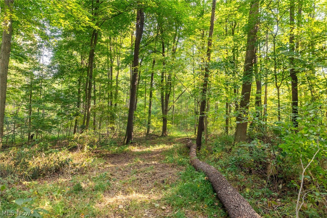 10772 Lawndell Road SW Navarre OH 44662