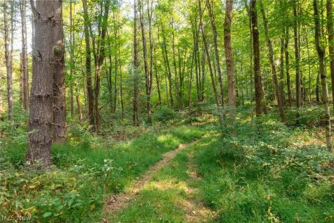 10772 Lawndell Road SW Navarre OH 44662