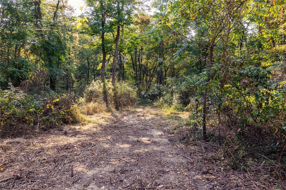 10772 Lawndell Road SW Navarre OH 44662
