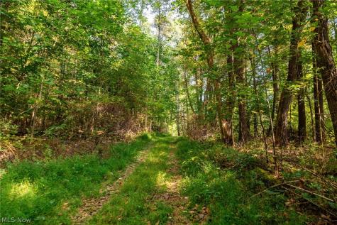 10772 Lawndell Road SW Navarre OH 44662