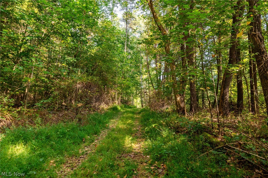 10772 Lawndell Road SW Navarre OH 44662