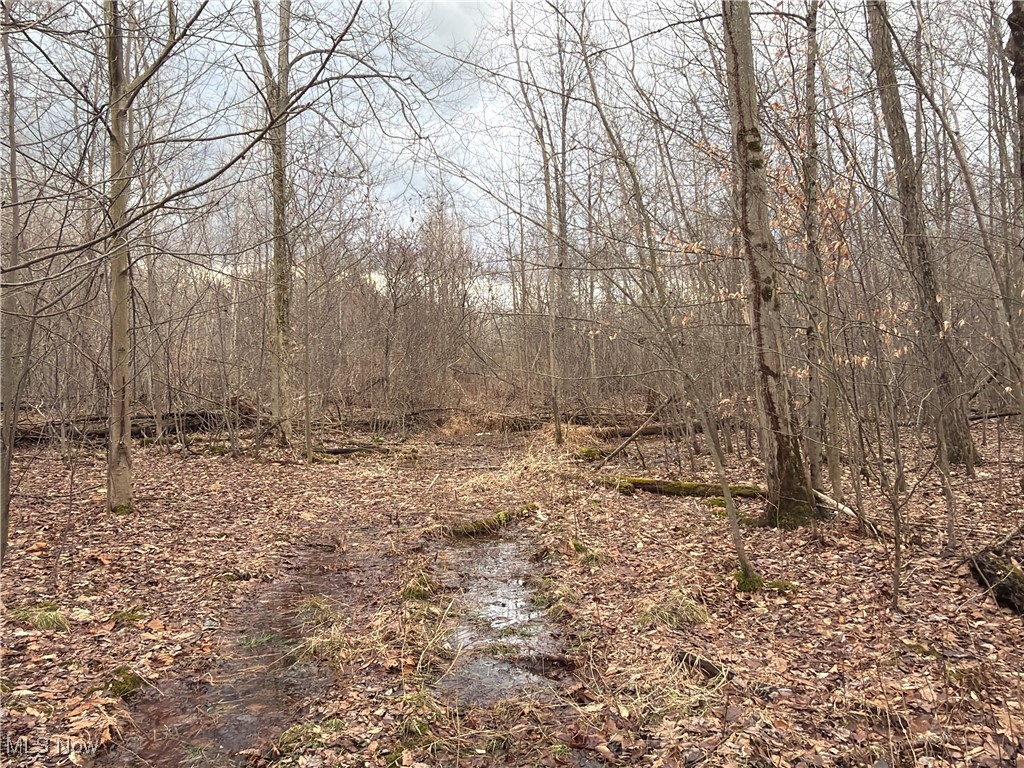 4055 Riverdale Road Rock Creek OH 44084