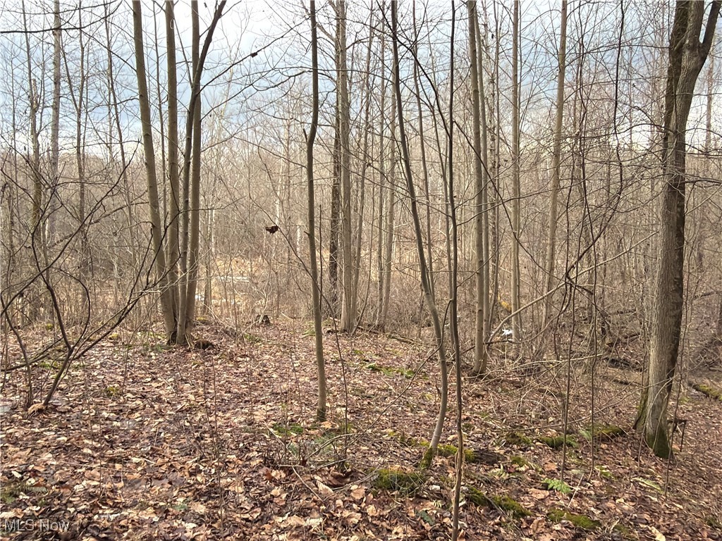 4055 Riverdale Road Rock Creek OH 44084