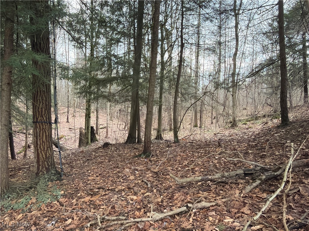 4055 Riverdale Road Rock Creek OH 44084