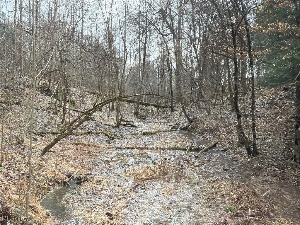 4055 Riverdale Road Rock Creek OH 44084
