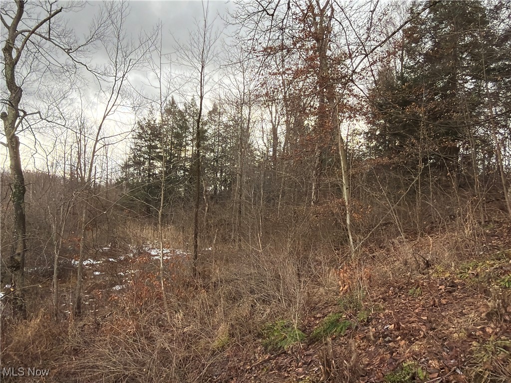 4055 Riverdale Road Rock Creek OH 44084