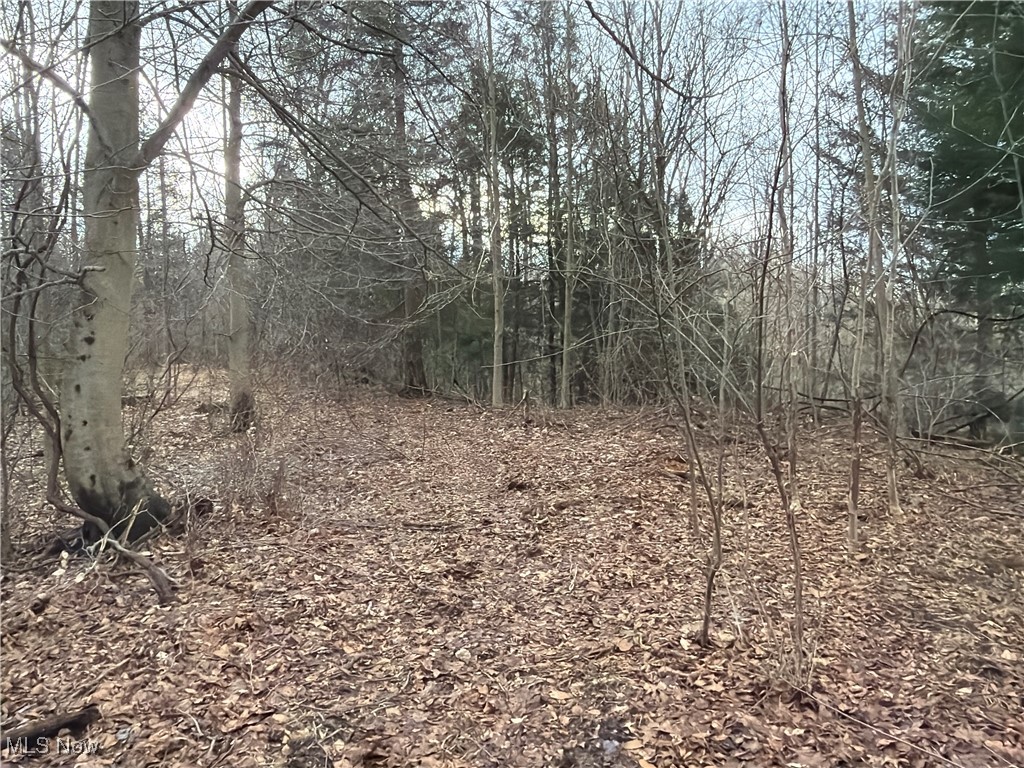 4055 Riverdale Road Rock Creek OH 44084