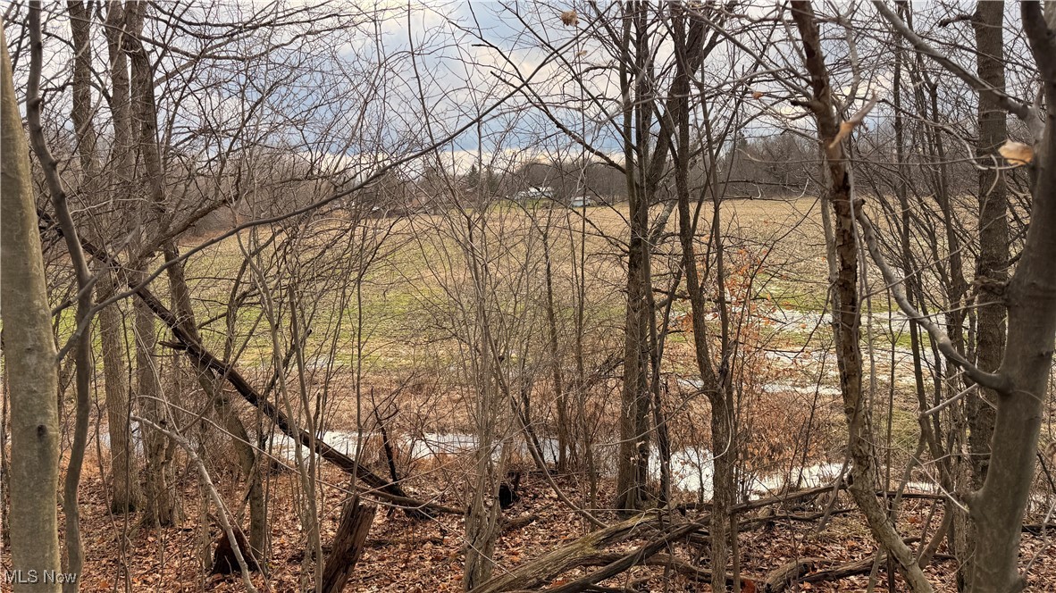 4055 Riverdale Road Rock Creek OH 44084
