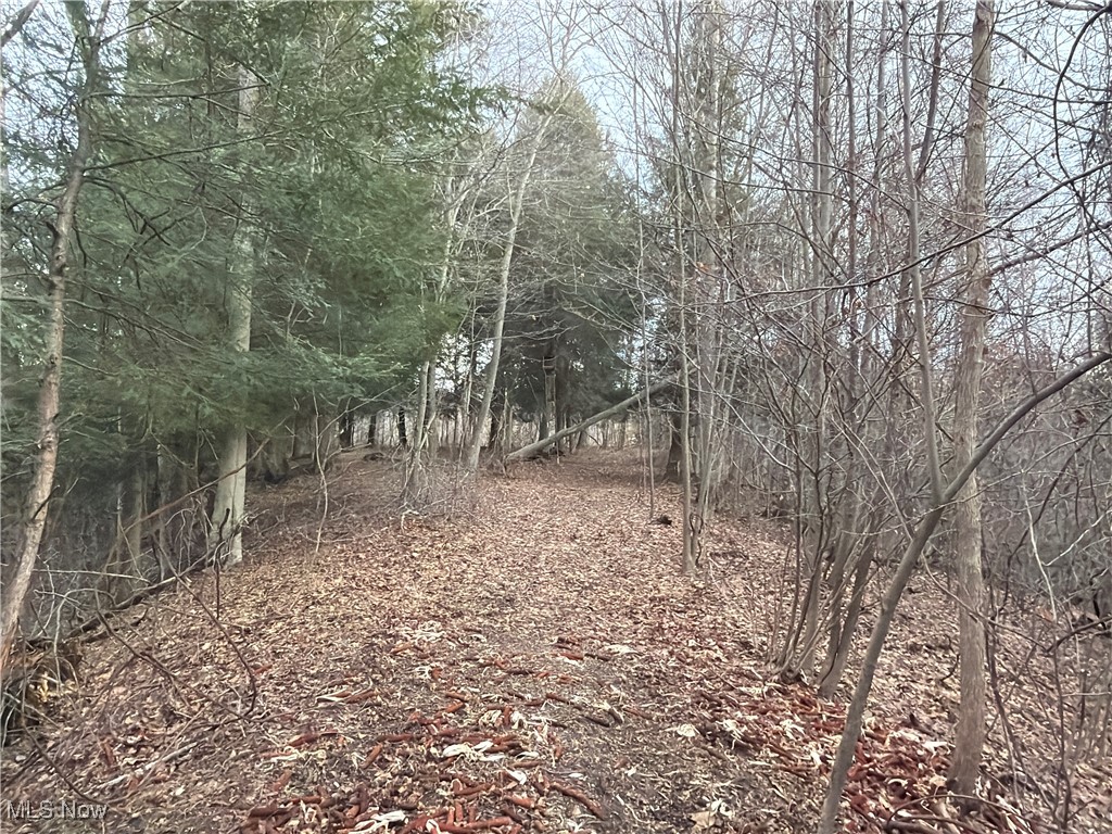 4055 Riverdale Road Rock Creek OH 44084
