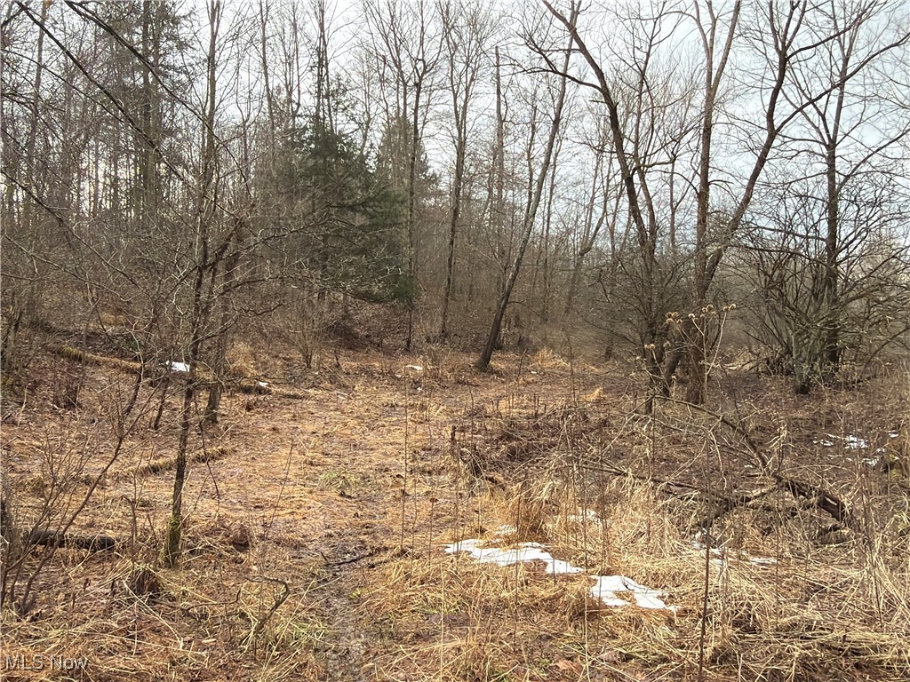4055 Riverdale Road Rock Creek OH 44084