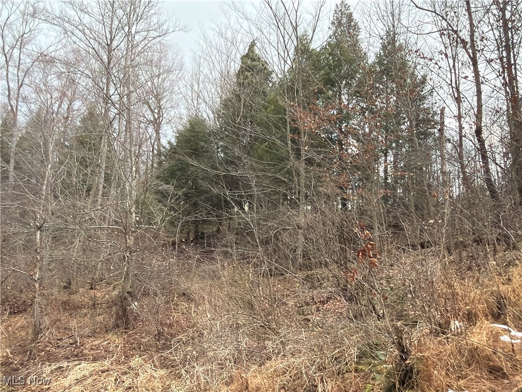 4055 Riverdale Road Rock Creek OH 44084