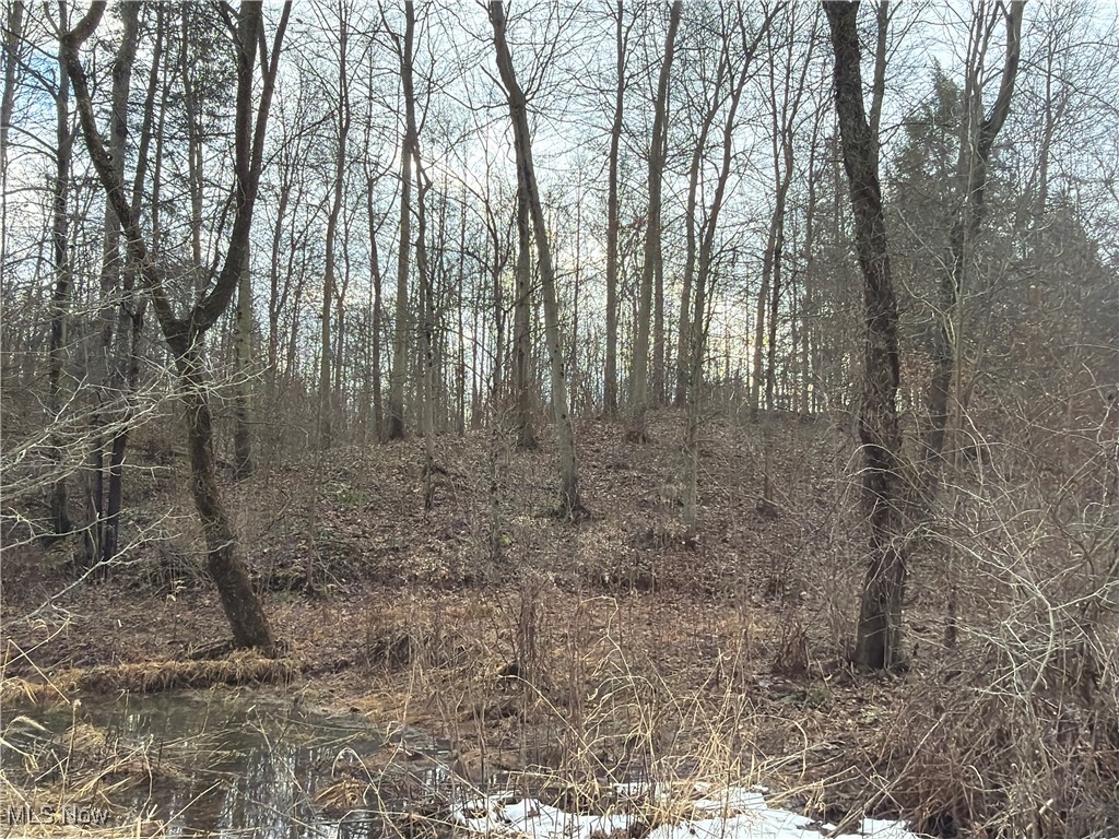 4055 Riverdale Road Rock Creek OH 44084
