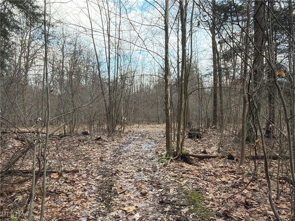 4055 Riverdale Road Rock Creek OH 44084