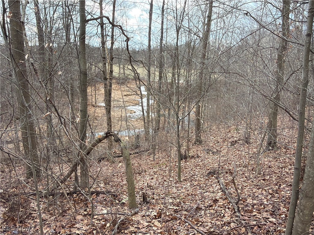 4055 Riverdale Road Rock Creek OH 44084