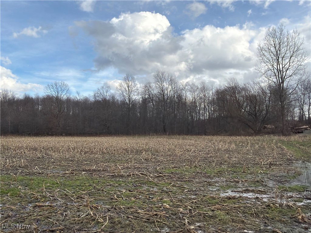 4055 Riverdale Road Rock Creek OH 44084