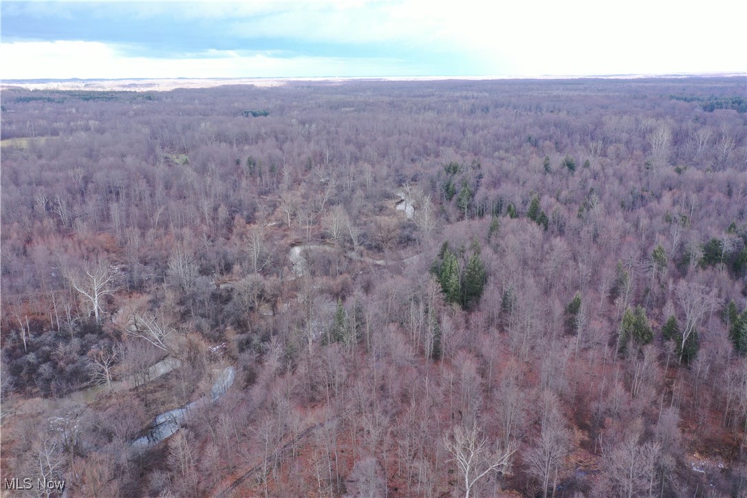 4055 Riverdale Road Rock Creek OH 44084