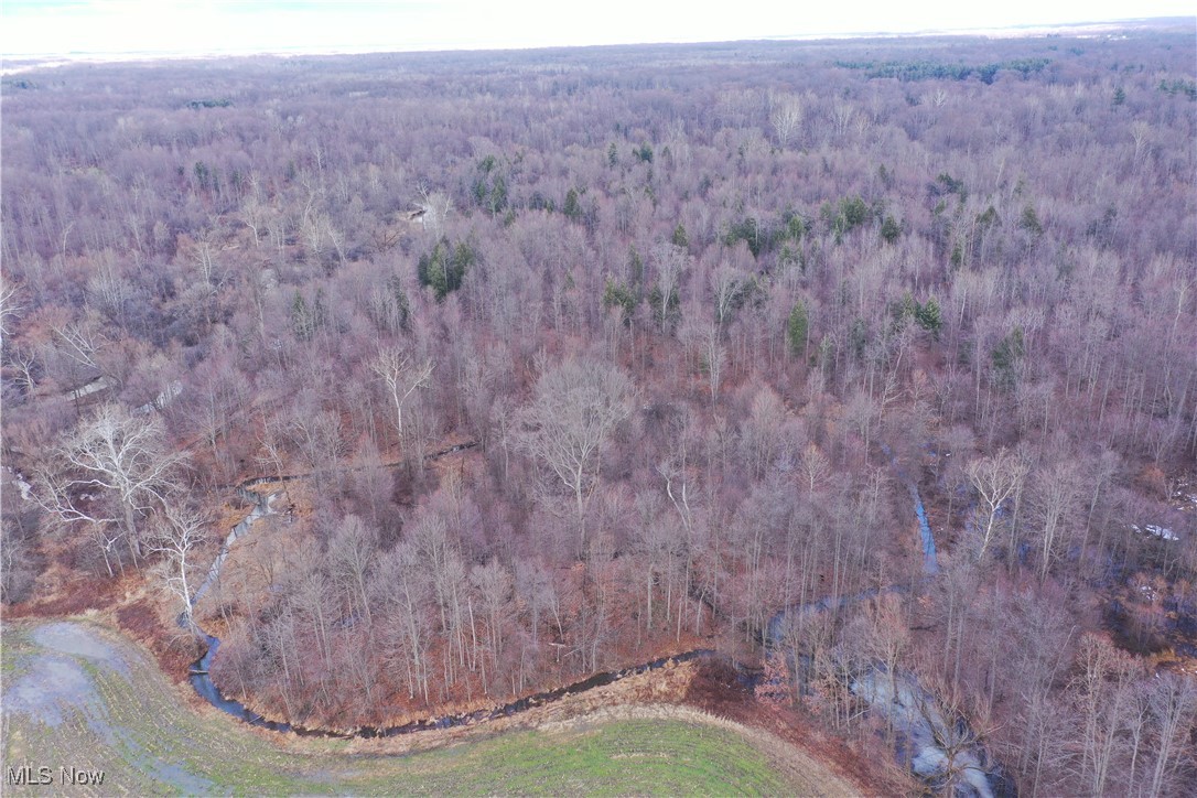 4055 Riverdale Road Rock Creek OH 44084