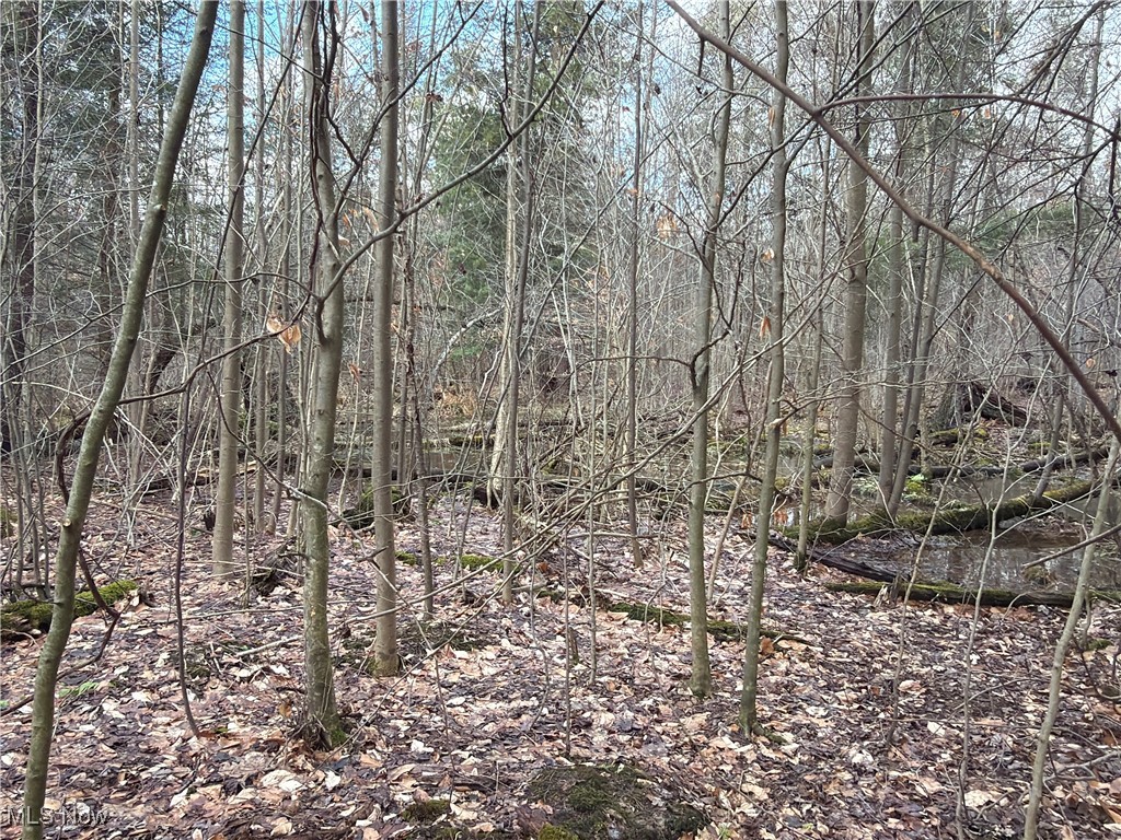 4055 Riverdale Road Rock Creek OH 44084