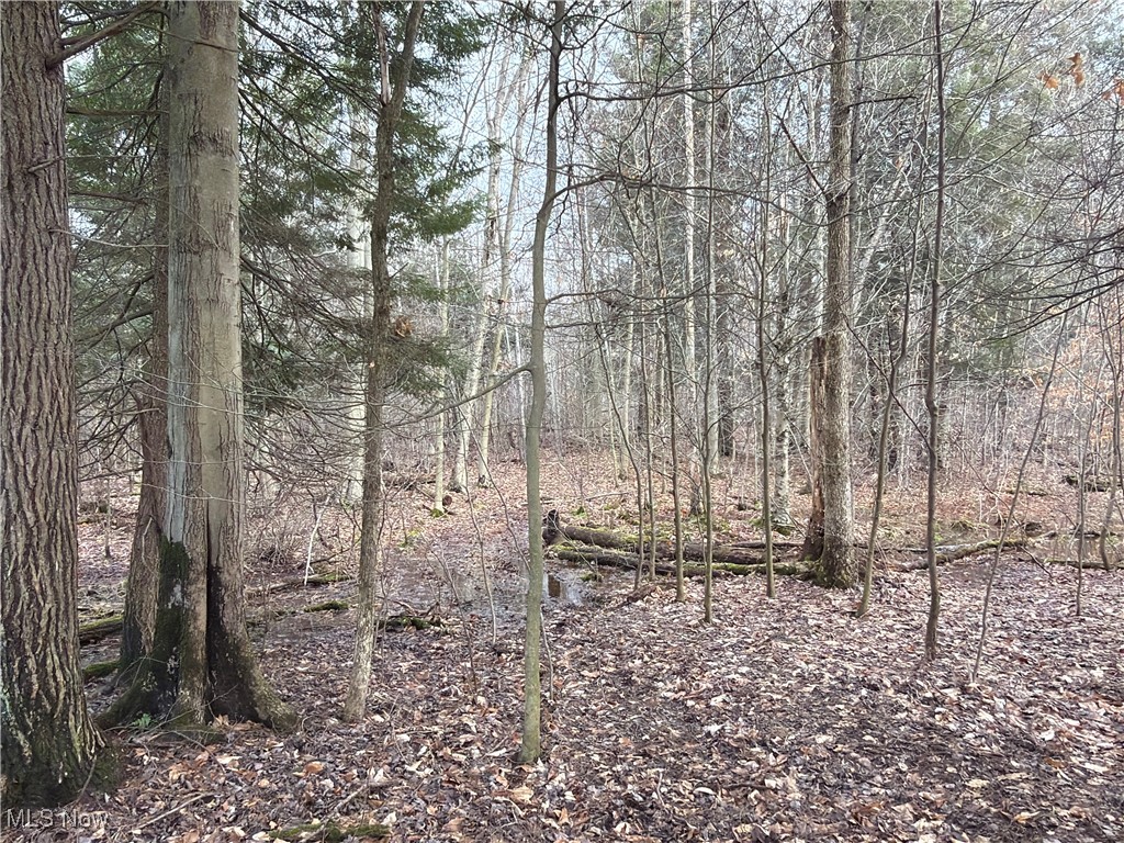 4055 Riverdale Road Rock Creek OH 44084