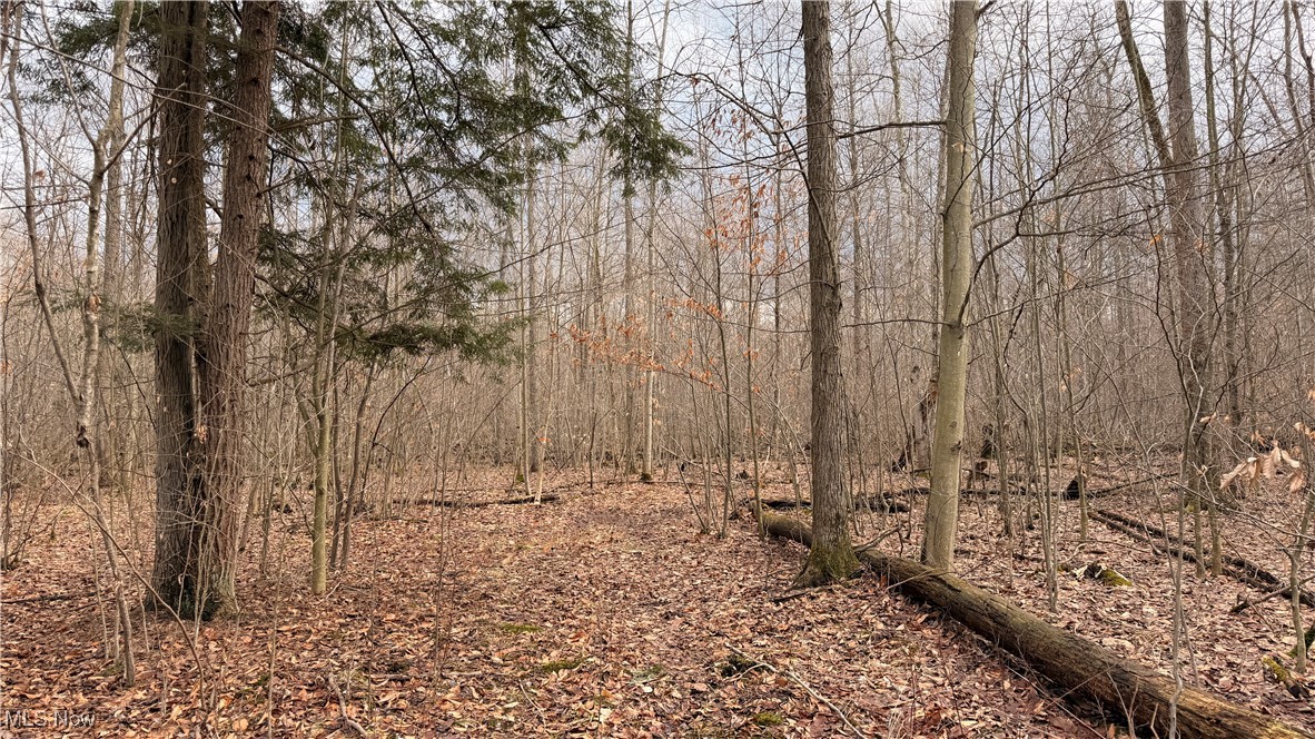 4055 Riverdale Road Rock Creek OH 44084