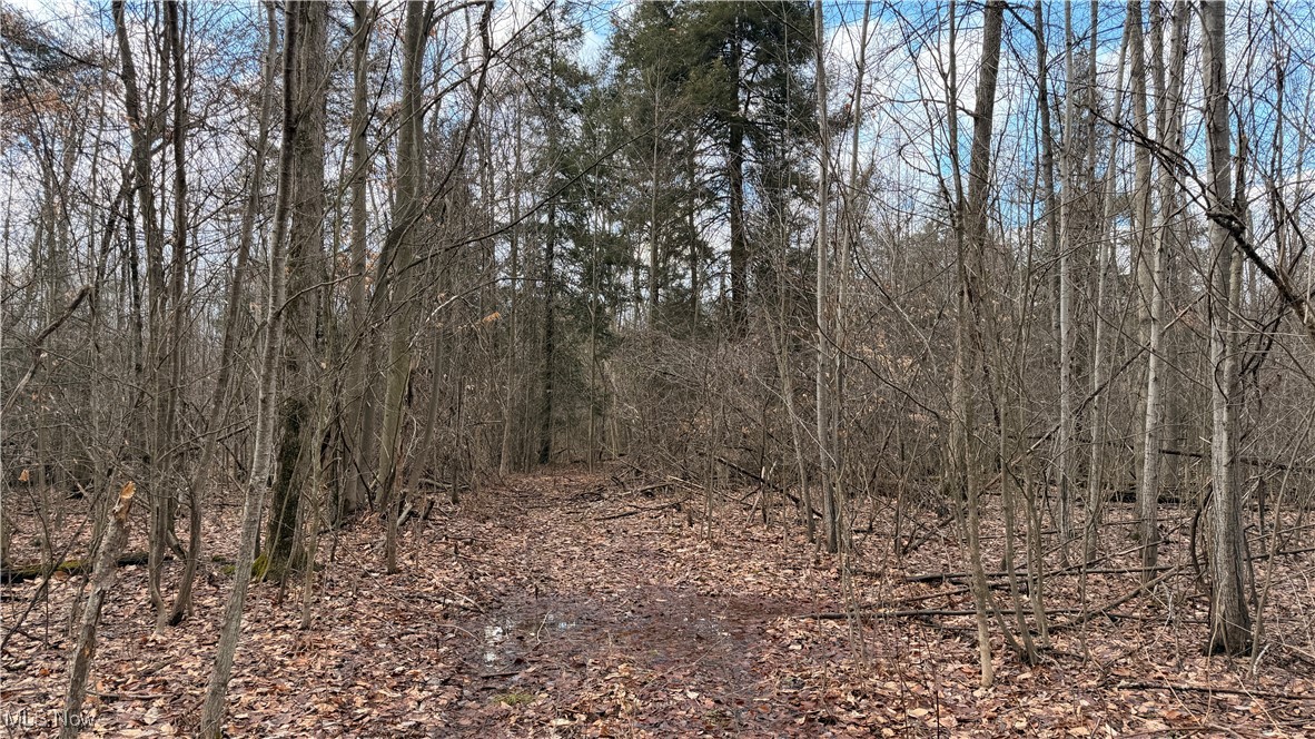 4055 Riverdale Road Rock Creek OH 44084