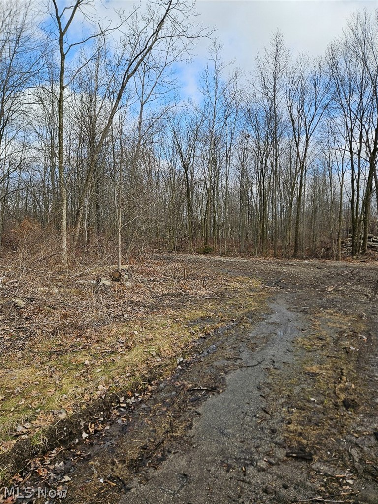 Ashley Circle Austintown OH 44515