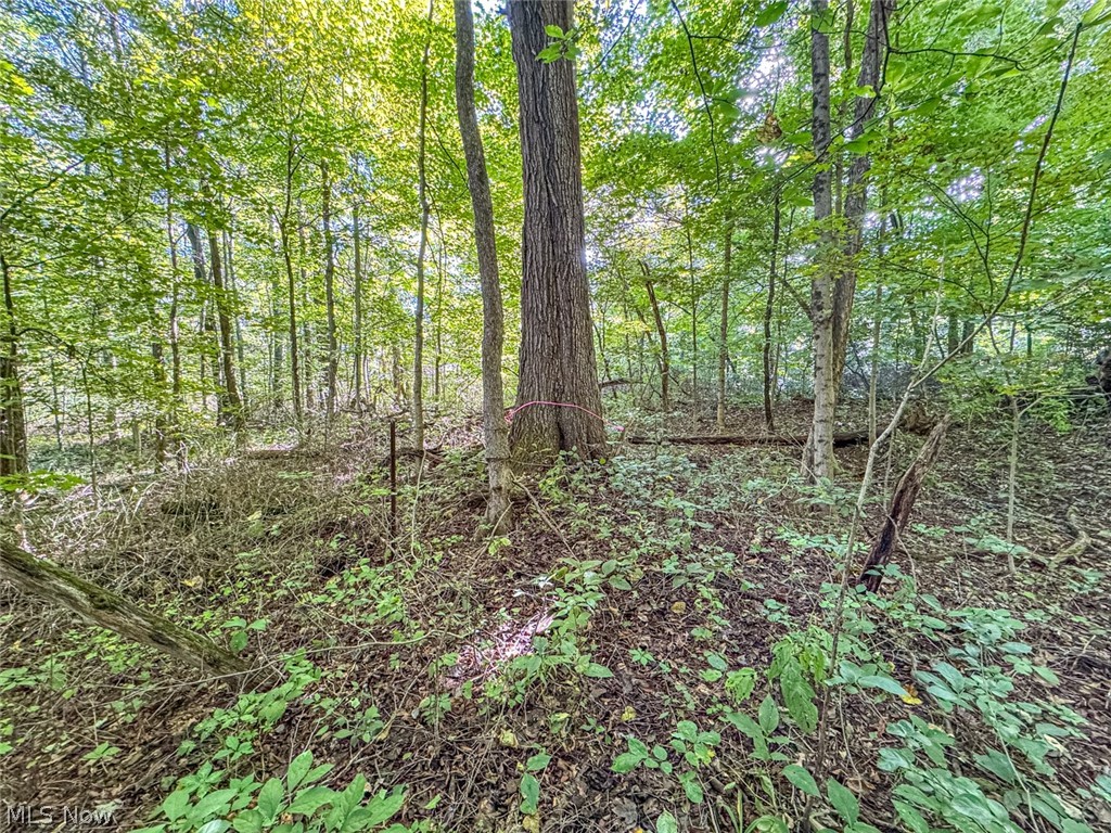 0 SE Kleski Road Uhrichsville OH 44683