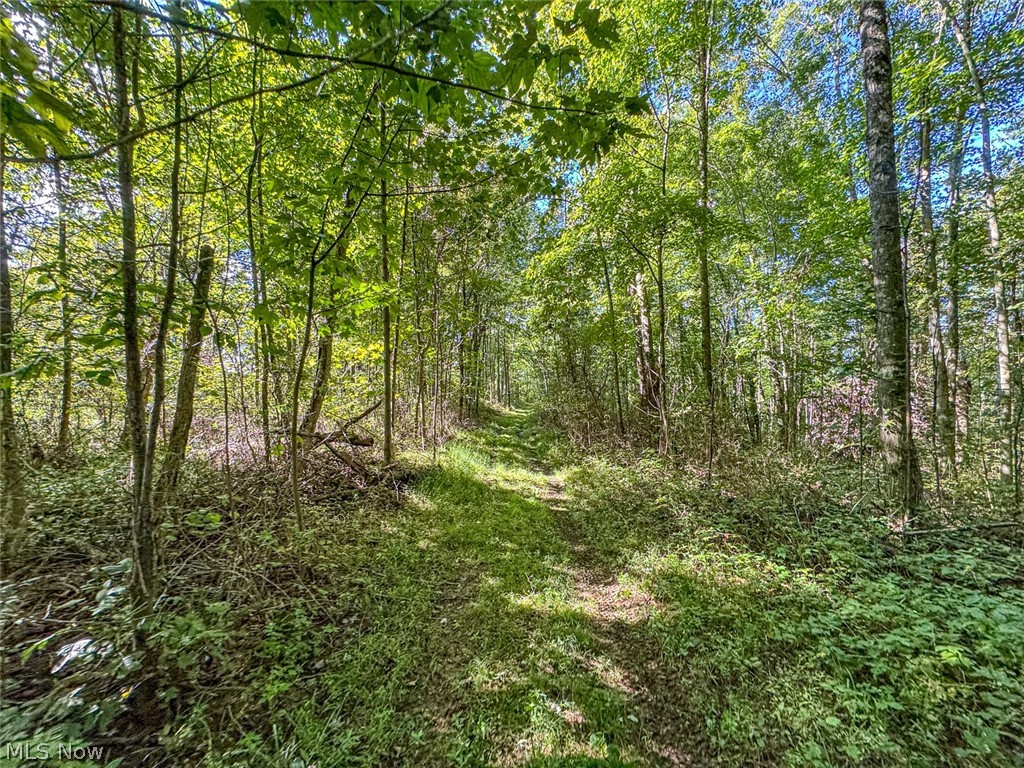 0 SE Kleski Road Uhrichsville OH 44683