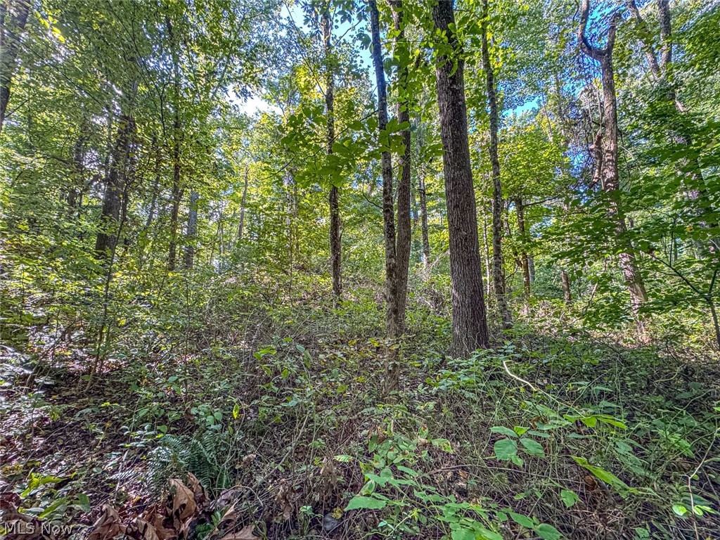 0 SE Kleski Road Uhrichsville OH 44683
